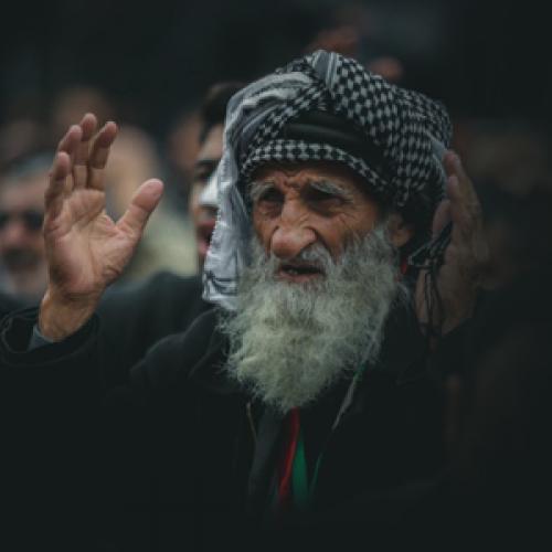 شيبة